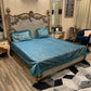 3️⃣PC  texture velvet BEDSHEET