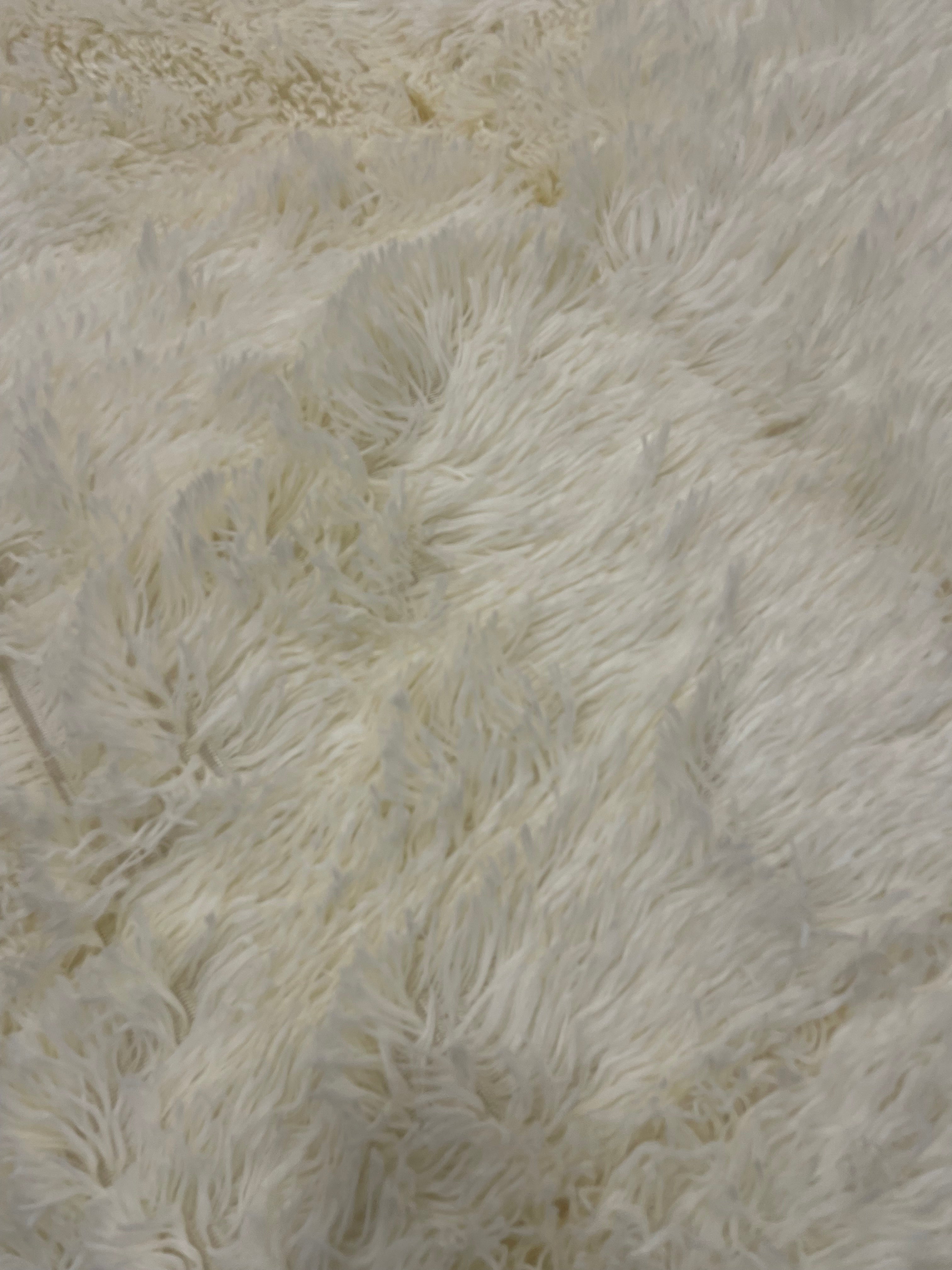 Shaggy 4️⃣PC Razai set