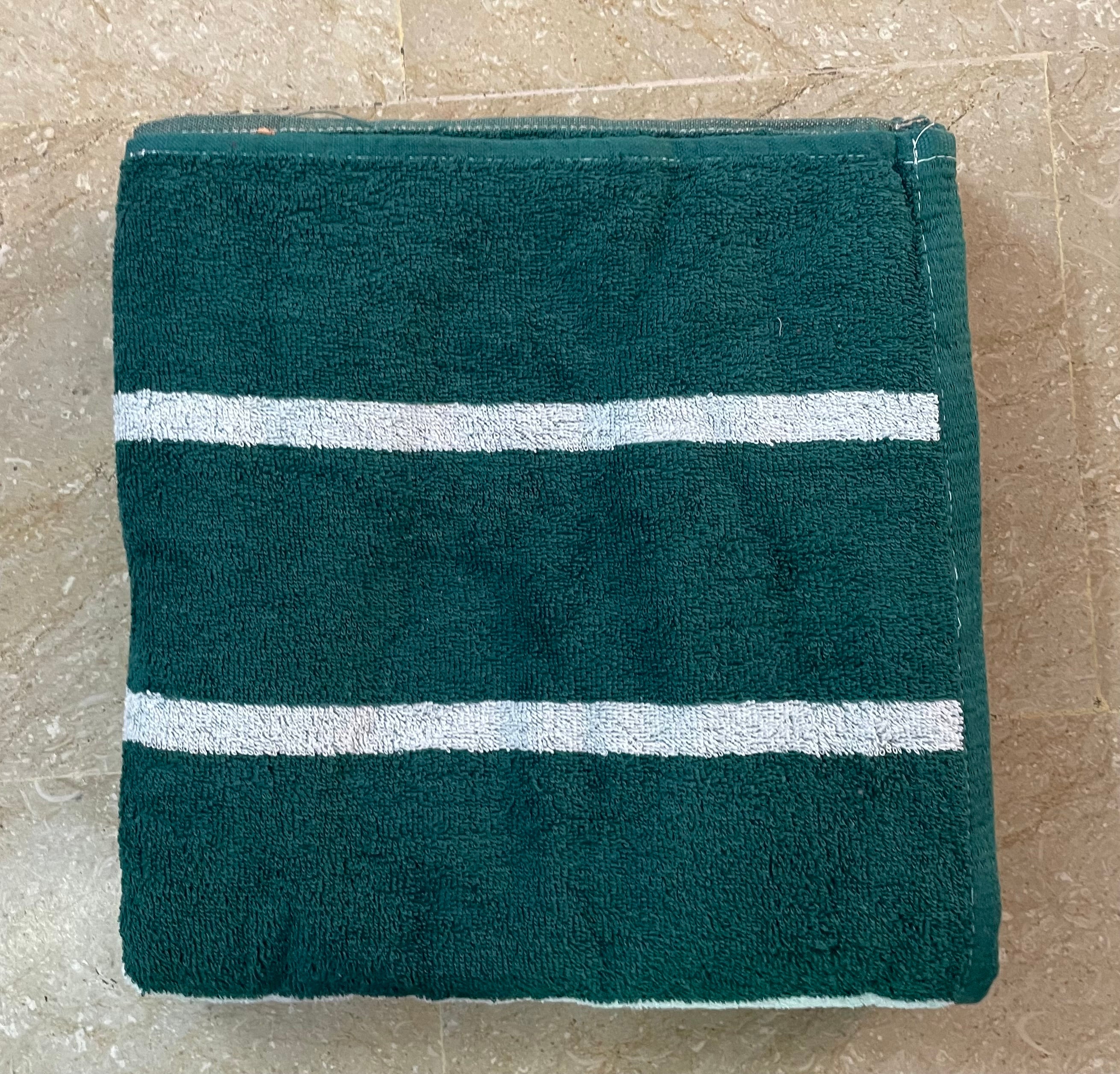 Nishat Export Quality Towel (Pack of 2)